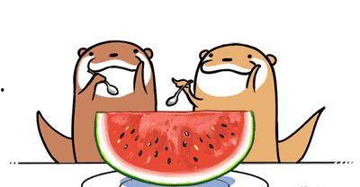 娱乐吃瓜女朋友送命题,女朋友送命题背后的甜蜜陷阱