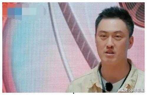 娱乐圈离谱吃瓜,揭秘那些离谱的吃瓜事件