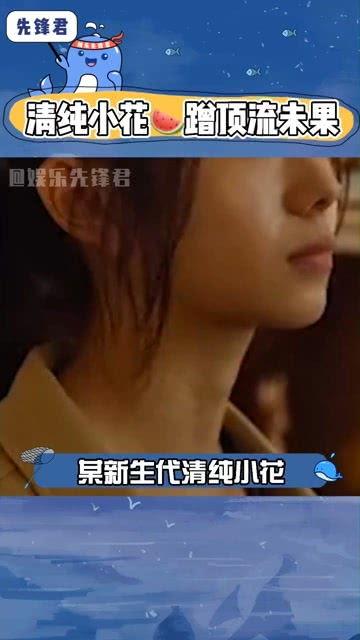 娱乐吃瓜酱感情,揭秘明星感情纠葛背后的真相