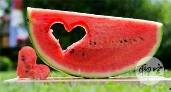 免费吃瓜官网,揭秘网络娱乐新潮流，畅享无界限的趣味盛宴