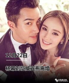 娱乐圈吃瓜全集解说,揭秘明星幕后真相与八卦风云